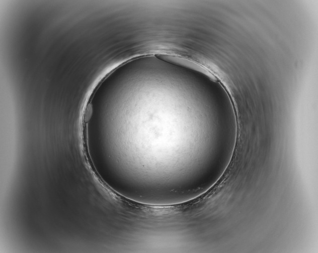 X0000096441152200801241353