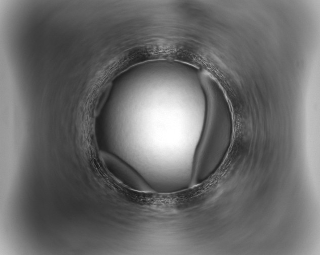 X0000096441153200801241353