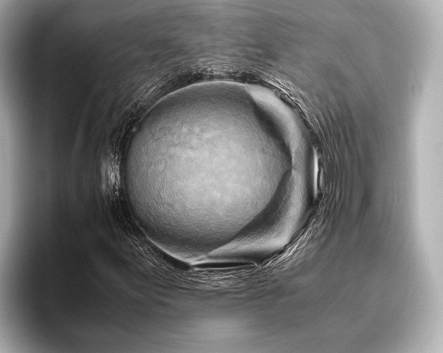 X0000096441155200801241353