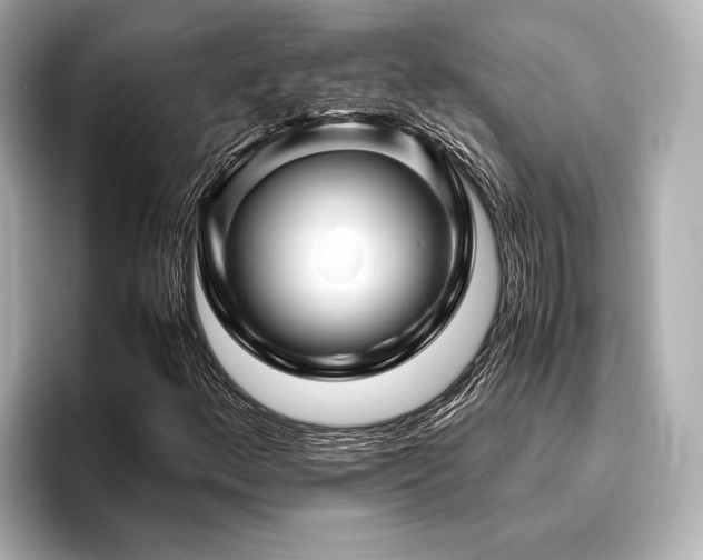 X0000096441156200801241353