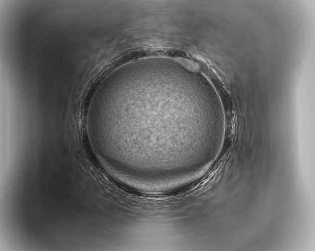 X0000096441157200801241353