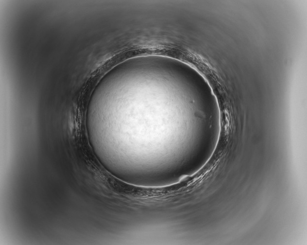 X0000096441158200801241353