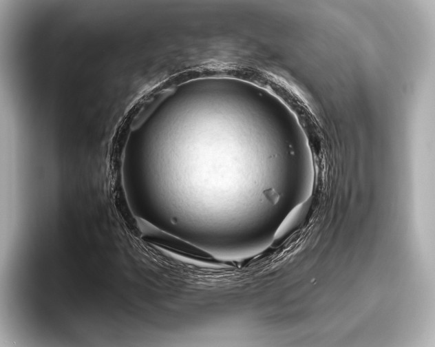 X0000096441160200801241353