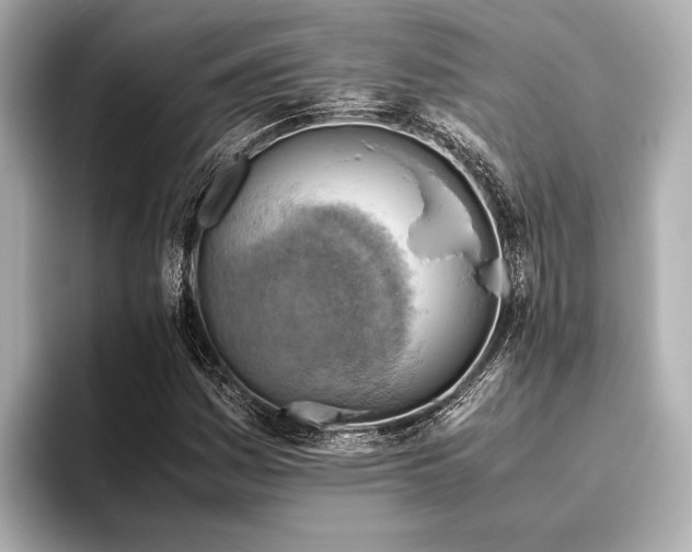 X0000096441161200801241353