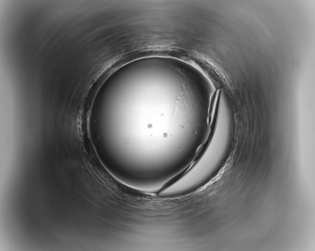 X0000096441162200801241353