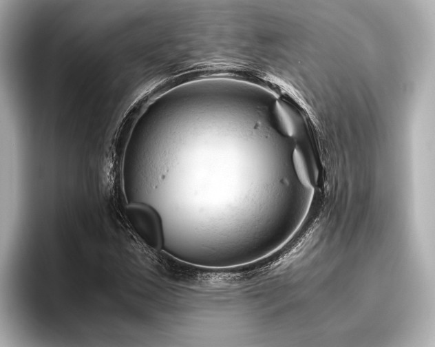 X0000096441163200801241353