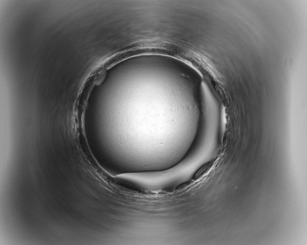 X0000096441164200801241353
