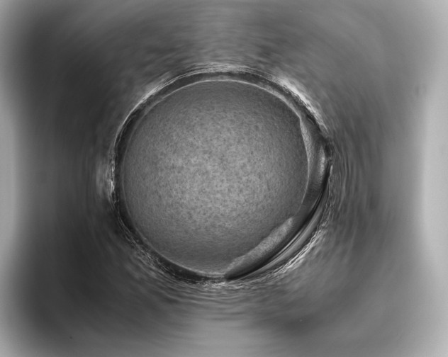 X0000096441165200801241353