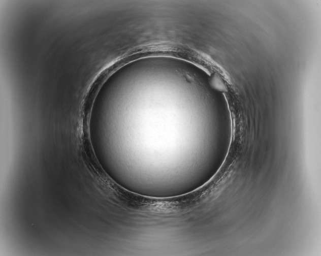 X0000096441166200801241353