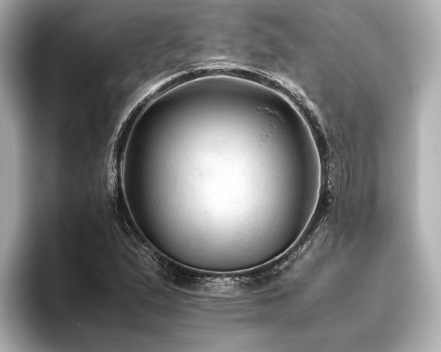 X0000096441167200801241353