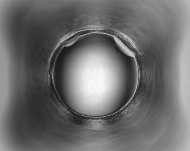 X0000096441168200801241353