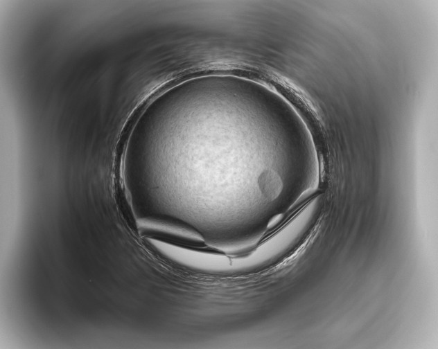 X0000096441170200801241353
