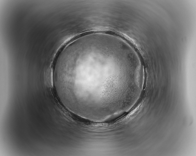 X0000096441171200801241352