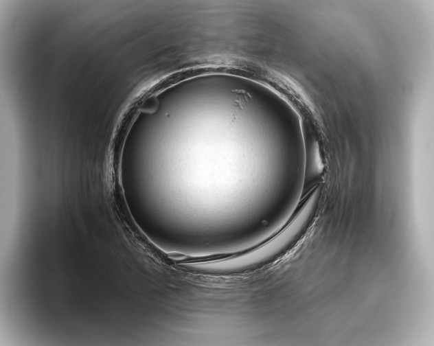 X0000096441172200801241352