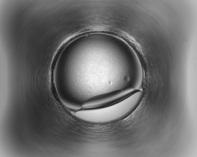X0000096441174200801241352
