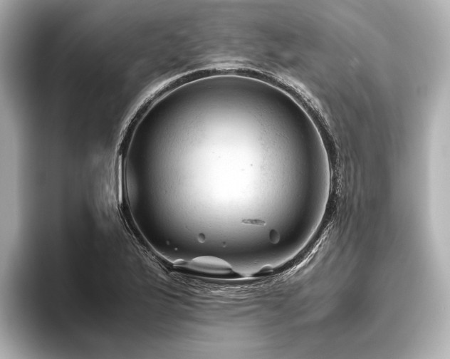 X0000096441175200801241352