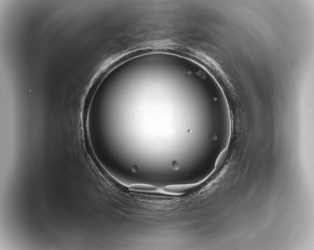 X0000096441176200801241352