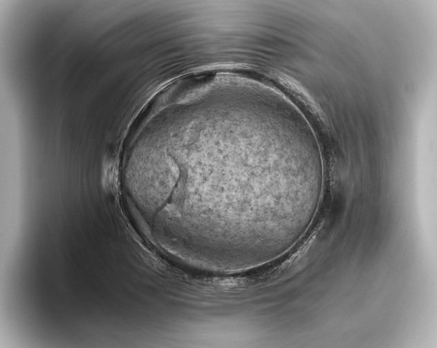 X0000096441177200801241352