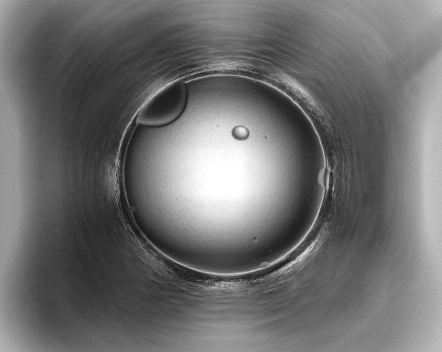 X0000096441178200801241352