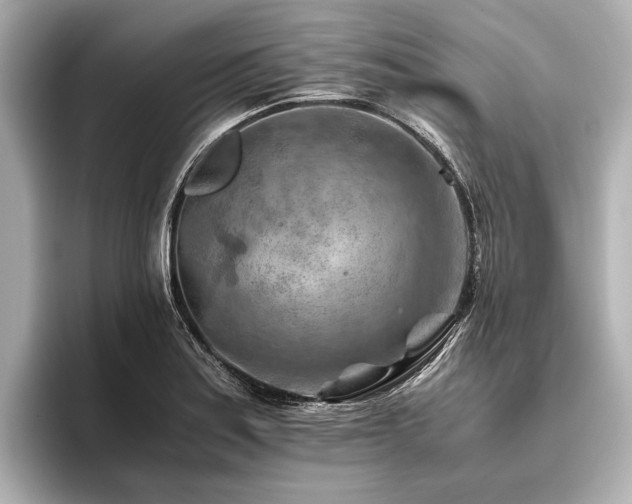 X0000096441179200801241352