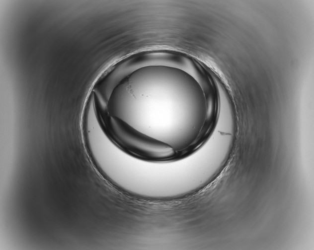 X0000096441181200801241352