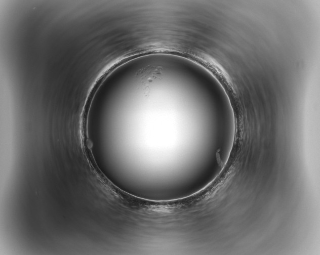 X0000096441182200801241352