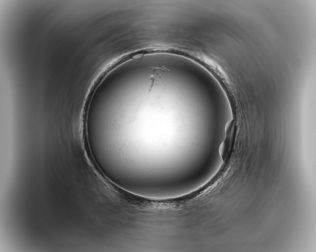 X0000096441183200801241352