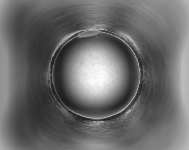 X0000096441184200801241352