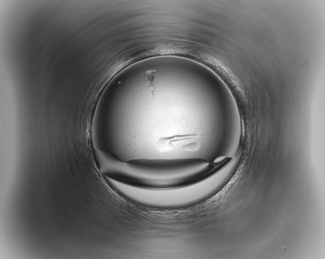X0000096441185200801241352