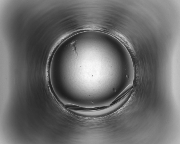 X0000096441188200801241352
