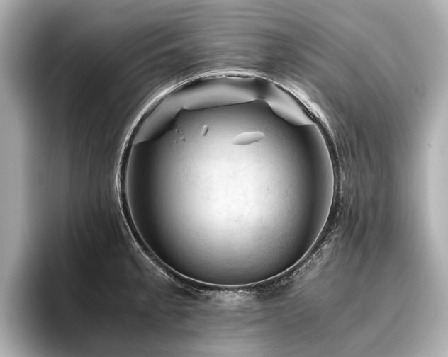 X0000096441189200801241352