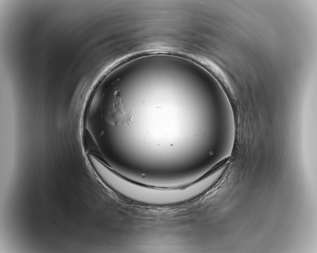 X0000096441191200801241352