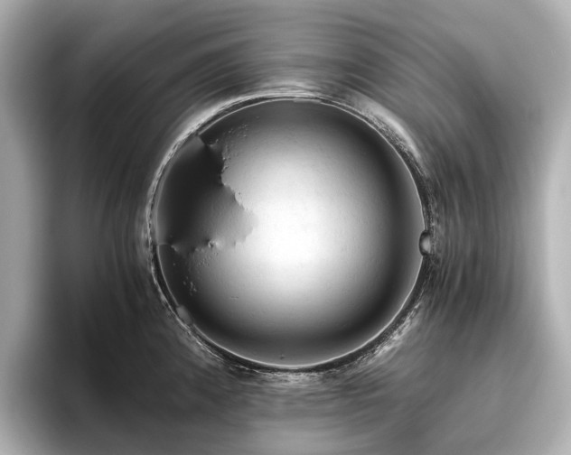 X0000096441192200801241352