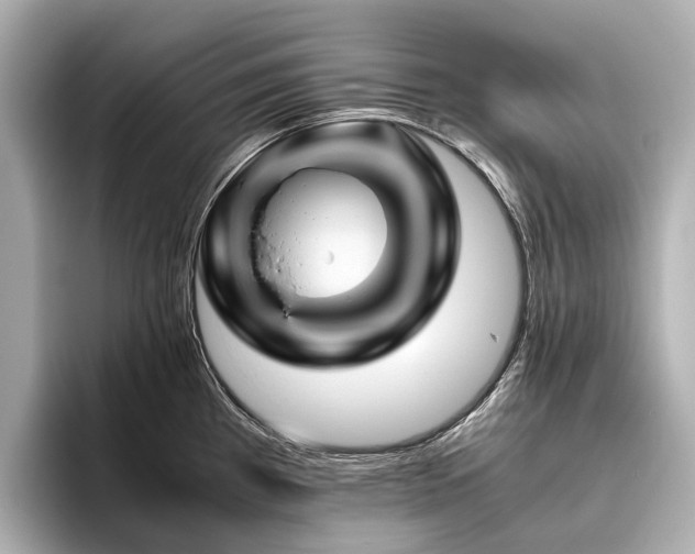 X0000096441193200801241352