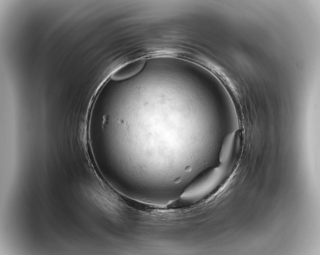 X0000096441194200801241352
