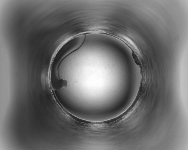 X0000096441196200801241352