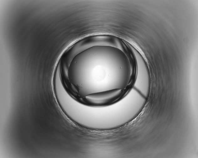 X0000096441197200801241352
