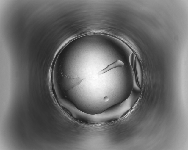 X0000096441198200801241352