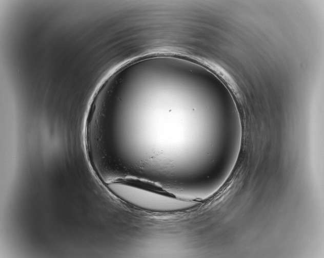 X0000096441199200801241352