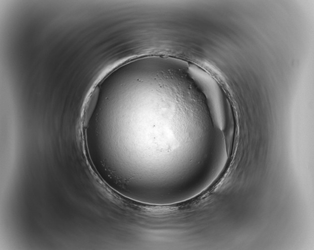 X0000096441200200801241352