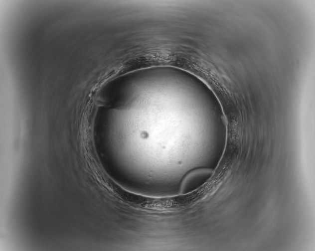 X0000096441201200801241351
