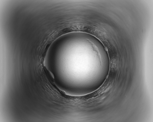 X0000096441202200801241352
