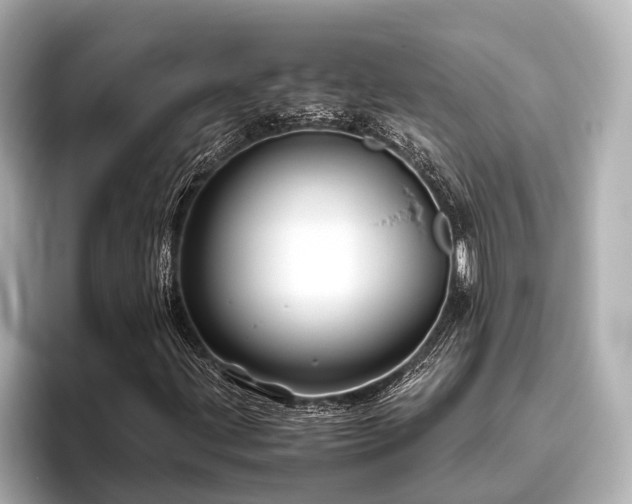 X0000096441203200801241352