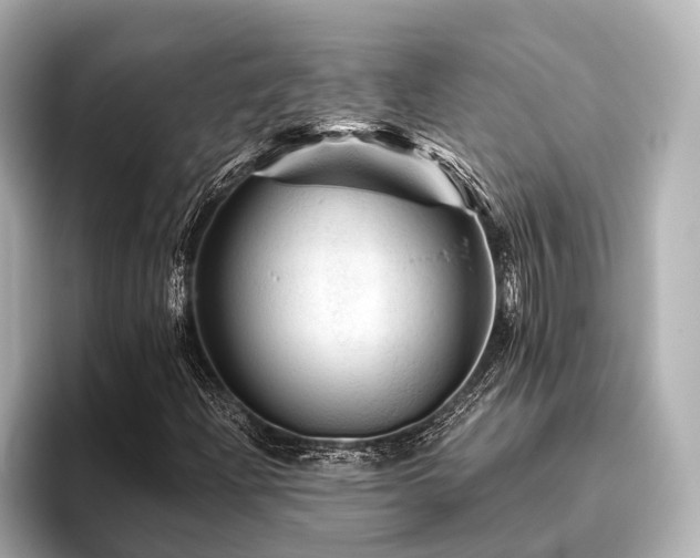 X0000096441204200801241352
