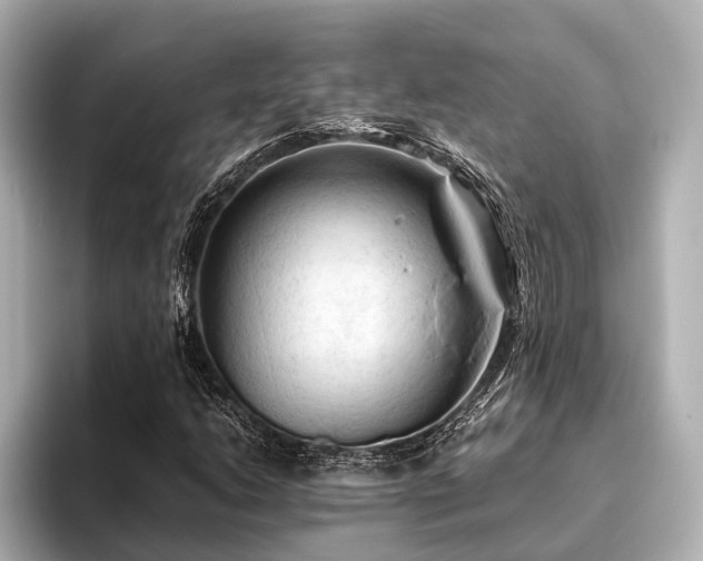 X0000096441206200801241352