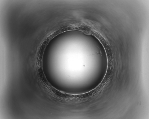 X0000096441207200801241352