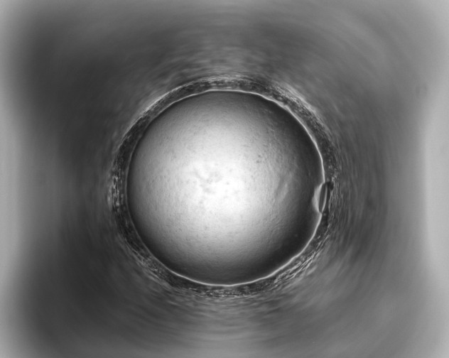 X0000096441208200801241352