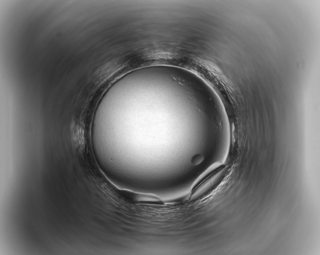 X0000096441209200801241352