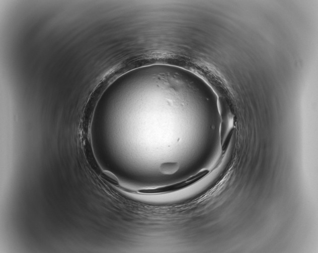 X0000096441210200801241352