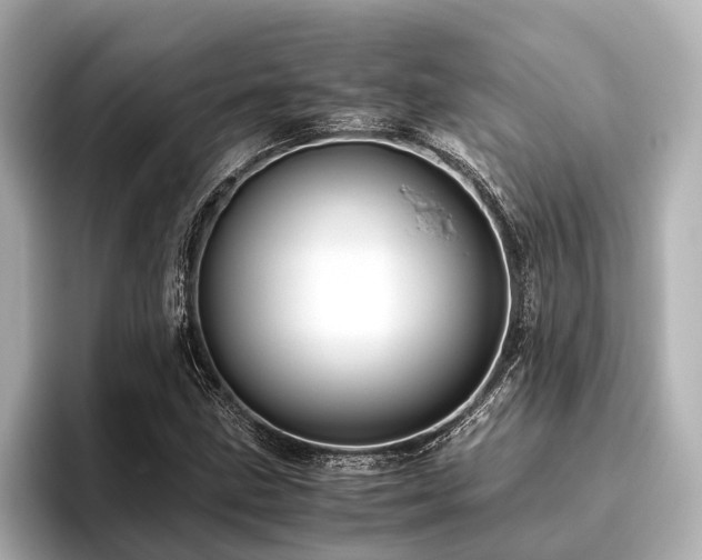 X0000096441211200801241352